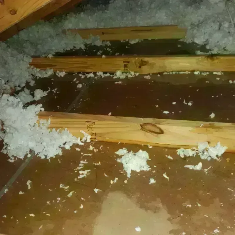 Attic Water Damage in McCormick County, SC